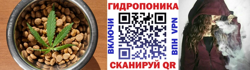 цены наркотик  Волгоград  дарк нет наркотические препараты  Cannafood конопля 