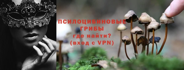 гидропоника Аркадак