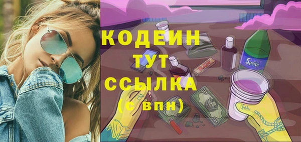 прущий лед Арсеньев