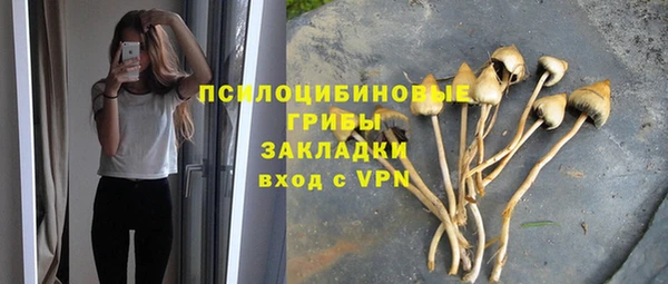 прущий лед Арсеньев
